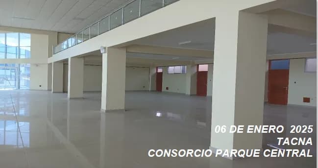Creación del Servicio de Espacios Públicos Urbanos – Parque Central – En La Habilitación Urbana Promuvi Viñani Ampliación I Etapa, Distrito de Coronel Gregorio Albarracín Lanchipa – Provincia de Tacna – Departamento de Tacna